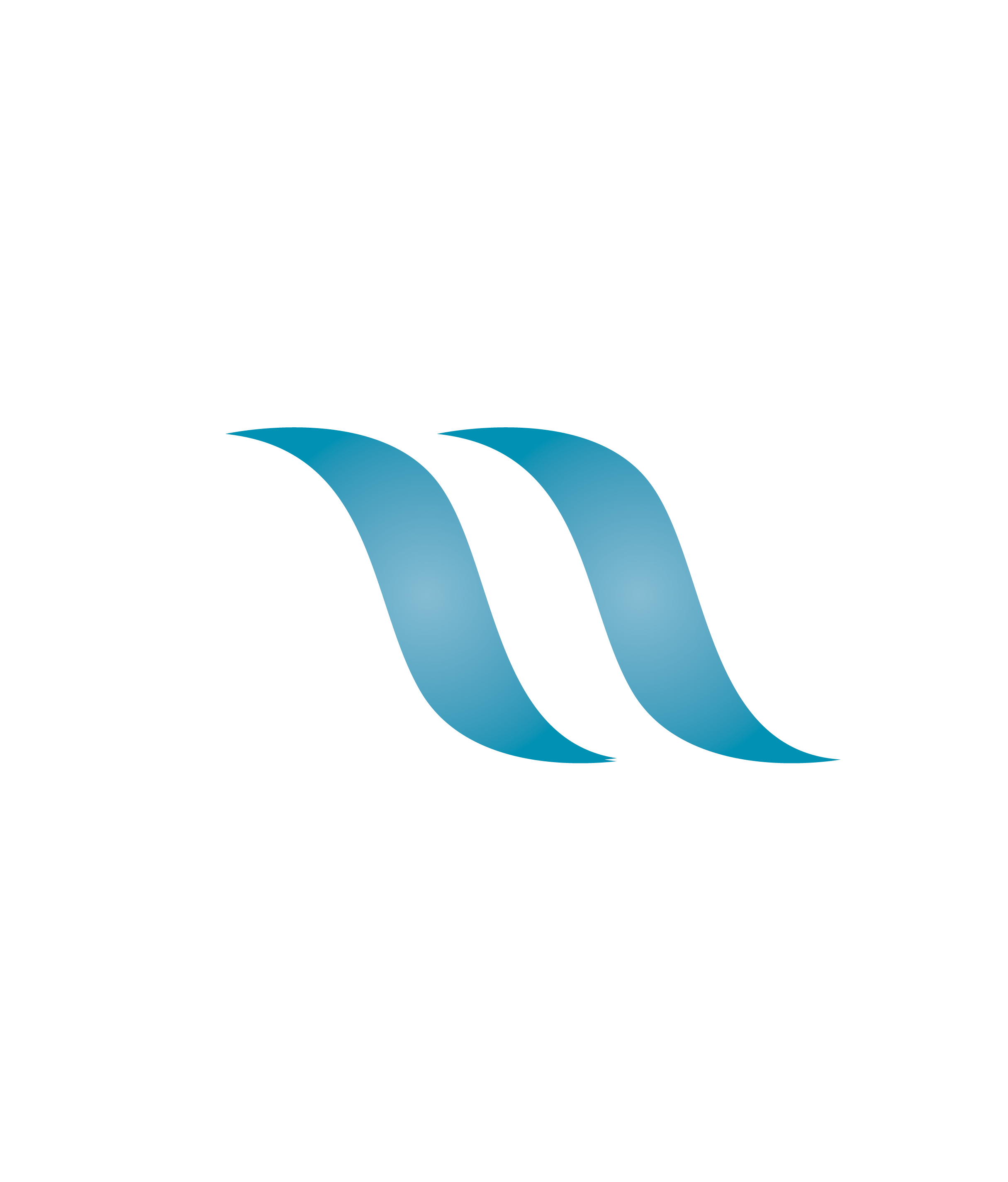 Wohnmobil Schmidt Logo